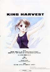(C67) [HAPPY PARANOIA &amp; J.P.S. of Black Beauty (Hasumi Elan, Wanashiro Giovanna)] King Harvest (Various)-(C67) [ハッピーパラノイア &amp; 漆黒のJ.P.S. (蓮見江蘭, 和南城ジョアンナ)] King Harvest (よろず)