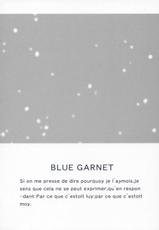 [BLUE GARNET] BLUE GARNET XVII (Fate/stay night)-