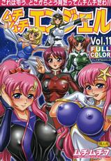 [MuchiMuchi7] MuchiMuchi Angel Vol.11 [Gundam Seed Destiny]-