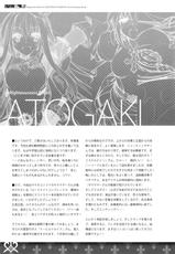 (C92) [sobaworks (Akisoba)] unRighteousness Chant (Ragnarok Online)-(C92) [sobaworks (秋蕎麦)] unRighteousness Chant (ラグナロクオンライン)