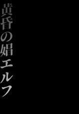 (C93) [H.B.A (Usagi Nagomu)] Tasogare no Shou Elf-(C93) [H.B.A (うさぎなごむ)] 黄昏の娼エルフ