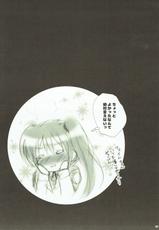 (C93) [Ameiro (Nanashiki)] Junketsu Dressage (Mahou Shoujo Lyrical Nanoha)-(C93) [あめいろ (七色)] 純潔ドレサージュ (魔法少女リリカルなのは)