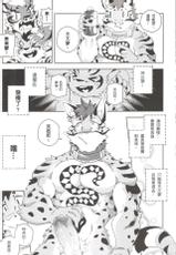 (FF31) [KUMAK.COM (KUMAK)] Nekonoyu (Nekojishi) [Chinese]-(FF31) [KUMAK.COM (KUMAK)] 猫の湯 (家有大貓) [中国語]