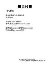 [ETERNAL WORLD (zero)] Ochiru Hoshi (Mahou Shoujo Lyrical Nanoha) [Digital]-[ETERNAL WORLD (zero)] 堕ちる星 (魔法少女リリカルなのは) [DL版]