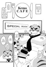 [Itachi Gokko (Takezamurai)] Kemo CAFE Take Your Time [Korean] [AMD] [Digital]-[いたちごっこ (武侍)] Kemo CAFE ごゆっくり [韓国翻訳 [DL版]