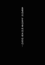 (C85) [MONE Keshi Gum (Monety)] Meiling ga Ochite Shimau Hanashi F ~Flandre Route~ | 메이린이 타락해버리는 이야기 F ~플랑드르 루트~ (Touhou Project) [Korean]-(C85) [MONEけしごむ (もねてぃ)] 美鈴が堕ちてしまう話F～フランドールルート～ (東方Project) [韓国翻訳]