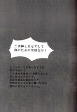 [Reflection] Tori kagononaka no himegimi (Code Geass)-[Reflection] 鳥かごのなかの姫君 (コードギアス)