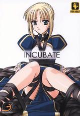 FSN - Incubate-