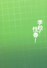 (C97) [OTOMEKIBUN (Sansyoku Amido.)] Gakkou de Seishun! 17 [Chinese] [花火汉化组]-(C97) [乙女気分 (三色網戸。)] 学校で性春!17 [中国翻訳]