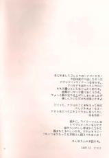 [chaotic_prism - Asato] Wind, Water, Boar (Kaze Mizu Inoshishi) (風水猪)-