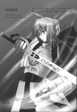 [Himura Nyuugyou (Kari)] Sakura Chuudoku 2.5 (Fate/Stay Night)-[比村乳業(仮)] 桜中毒。2.5 (Fate/Stay Night)
