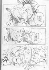 Neko Neko Punch (Final Fantasy XI)-
