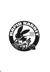 (C78) [Rapid Rabbit (Tomotsuka Haruomi)] Byoujo no Sho (Touhou Project)(Chinese)-