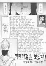 (C70) [Forbidden-Lips (Ryo)] Mabi Life 3 (Mabinogi) [Korean]-(C70) [Forbidden-Lips (りょう)] まびらいふ 3 (マビノギ) [韓国翻訳]