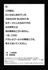 (C79) [LTM. (Taira Hajime)] Nise Dragon Blood! 18 (Original)-(C79) [LTM. (たいらはじめ)] ニセ DRAGON・BLOOD！18 (オリジナル)
