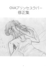 (C79) [SHIMAHOKKE (Kuroda Kazuya)] Shimahokke 13 (Princess Lover!, Akisora)-(C79) [しまほっけ (黒田和也)] しまほっけ13 (プリンセスラバー!, あきそら)