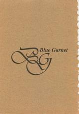 (C52) [BLUE GARNET (Serizawa Katsumi)] Blue Garnet Vol. 4 Kinku (Darkstalkers)-(C52) [BLUE GARNET (芹沢克己)] Blue Garnet Vol.4 禁区 (ヴァンパイアセイヴァー)