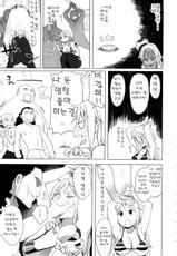 (C81) [Higuma-ya (Nora Higuma)] Nami-san ga! (One Piece) (korean)-(C81) [ひぐま屋(野良ヒグマ)] ナミさんが！ (ワンピース) [韓国翻訳]