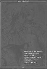 (C79) [Moehina Kagaku (Hinamatsuri Touko)] Koikaze Maiden 3 (Touhou Project)-(C79) [萌雛化学 (雛祭桃子)] 恋風乙女3 (東方Project)