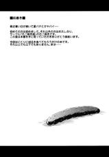 (C82) [Takoyaki-batake (Takoyaki)] Cucumber Sommelier (Touhou Project) [English] =LWB=-(C82) [たこ焼き畑 (たこ焼き)] きゅうりソムリエ (東方Project) [英語] =LWB=
