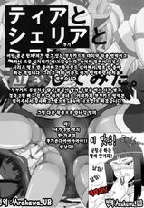 (COMIC1☆6) [BooBooKid (PIP)] Tear to Cheria to Milla wo Rachi Shitemita. (Tales of series) (korean)-(COMIC1☆6) [ブーブーキッド (PIP)] ティアとシェリアとミラを拉致してみた。 (テイルズオブ シリーズ) [韓国翻訳]