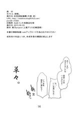 (Daikyuushuu Touhousai 7) [Beniiro Kaitenkikou (Seki)] Zenryaku. (Touhou Project)-(大⑨州東方祭7) [紅色回転機構 (赤)] 前略。 (東方Project)