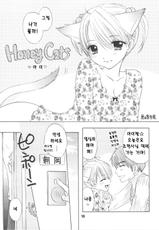 (C75) [BEAT-POP (Ozaki Mirai)] HONEY CATS [Korean]-(C75) [BEAT-POP (尾崎未来)] HONEY CATS [韓国翻訳]