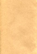 (C85) [70 Nenshiki Yuukyuu Kikan (Endou Okito)] Platinum Books [Chinese] [脸肿汉化组]-(C85) [70年式悠久機関 (遠藤沖人)] 銀髪文庫 [中国翻訳]