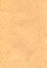 (C85) [70 Nenshiki Yuukyuu Kikan (Endou Okito)] Platinum Books [Chinese] [脸肿汉化组]-(C85) [70年式悠久機関 (遠藤沖人)] 銀髪文庫 [中国翻訳]