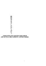 (C73) [Personal Color (Sakuraba Yuuki)] Junsuiritsu o Sukoshi dake Agete. (Touhou Project) [Spanish] [Ichi no Fansub]-(C73) [PERSONAL COLOR (桜庭友紀)] 純粋率を少しだけ上げて。 (東方Project) [スペイン翻訳]