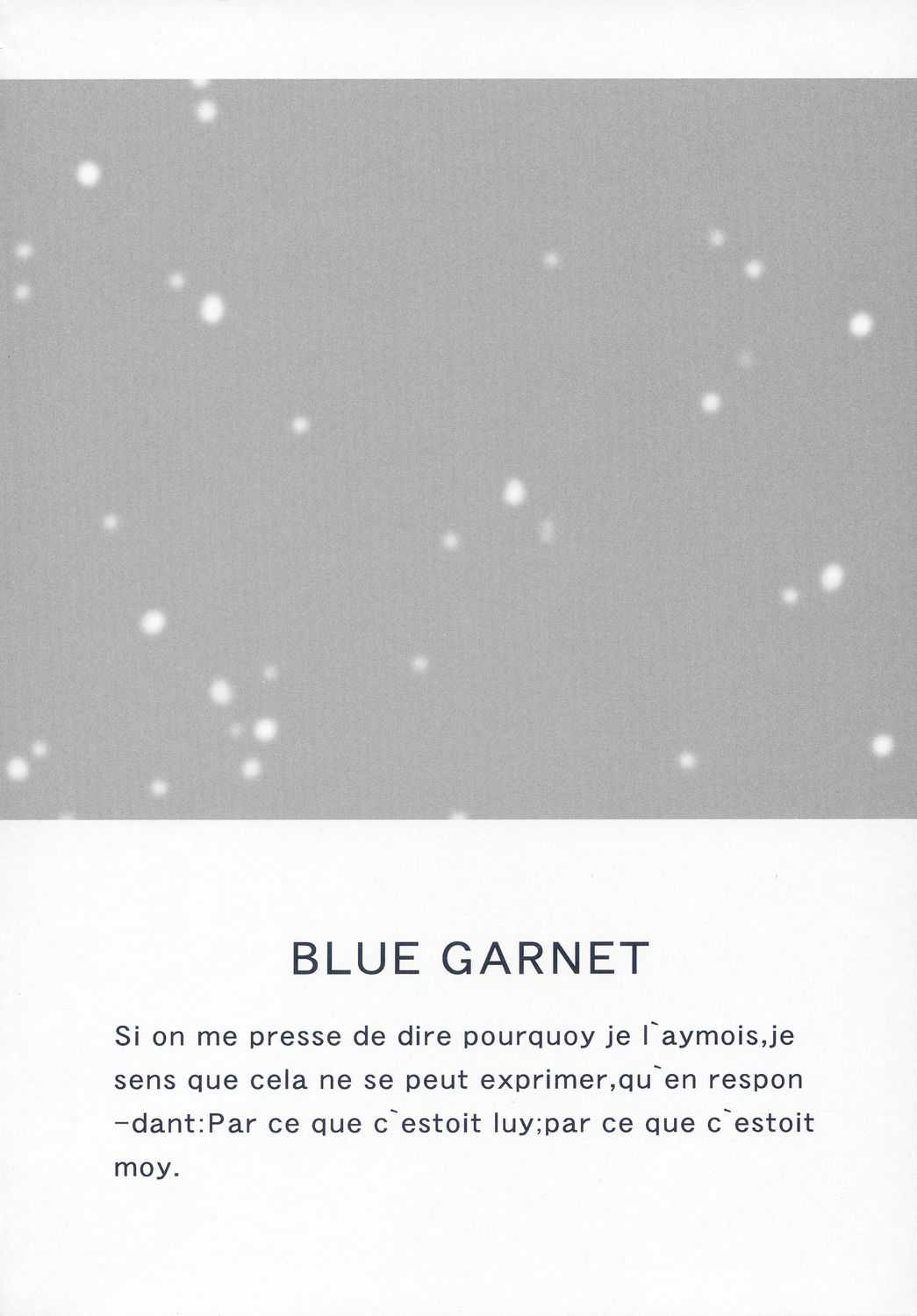 [BLUE GARNET] BLUE GARNET XVII (Fate/stay night) 