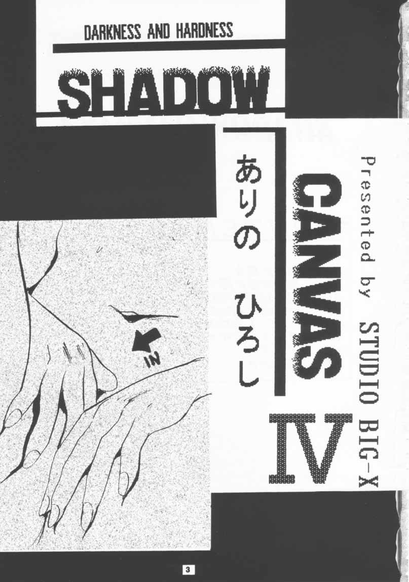 [Studio Big-X (Hiroshi Arino)] Shadow Canvas 4 