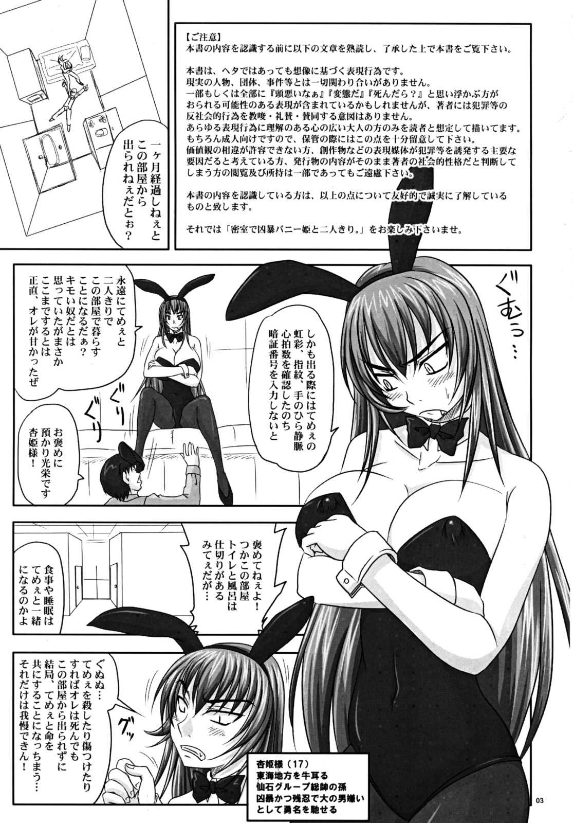 [Nozarashi]密室で凶暴バニー姫と二人きり。Alone in the Secret Room with the Brutal Bunny Princess 