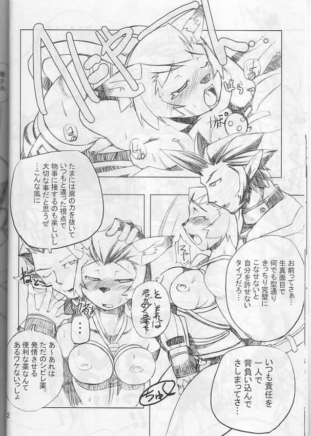 Neko Neko Punch (Final Fantasy XI) 