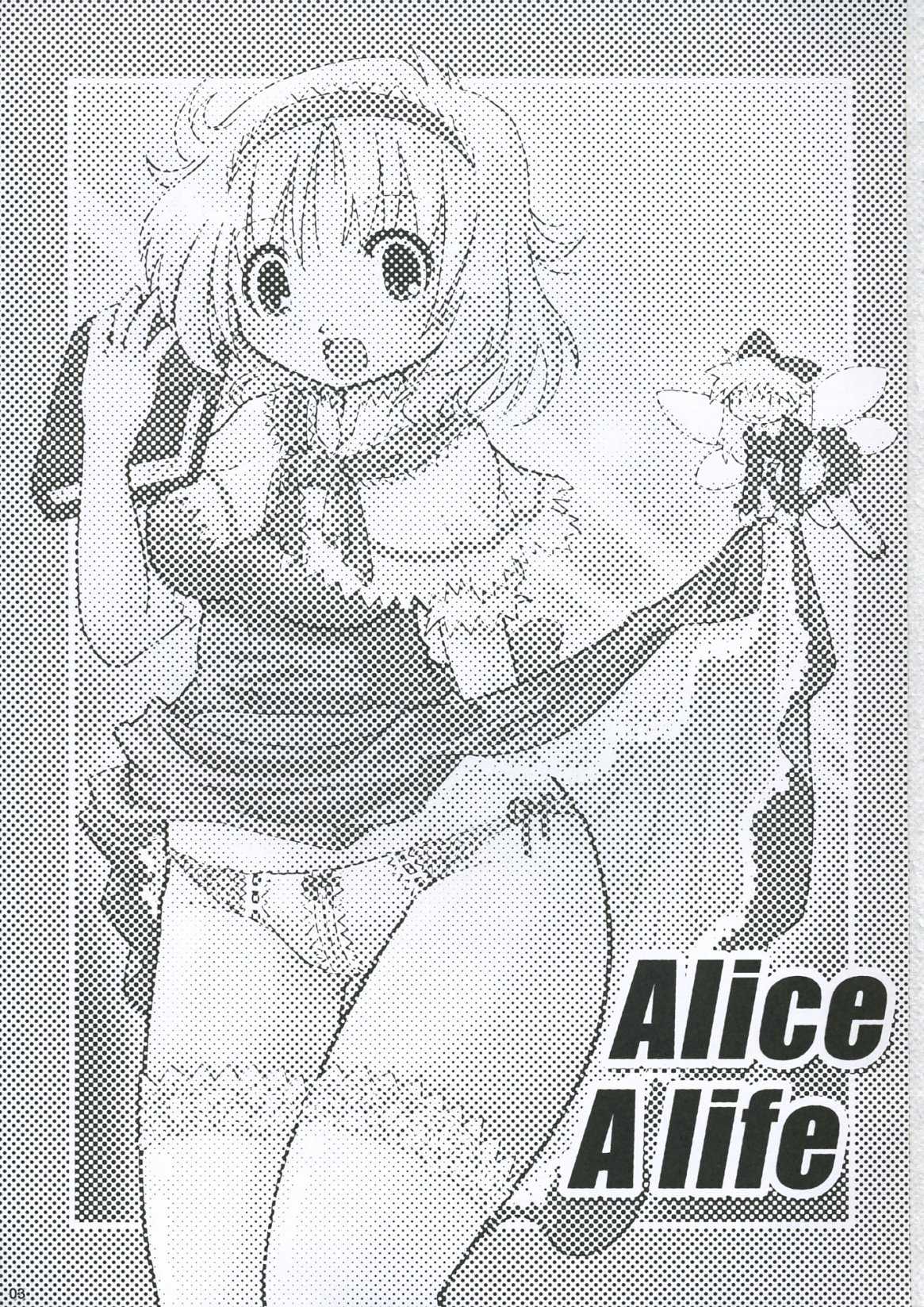 [Fraulein Gutenberg]Alice A life{Touhou Project} 
