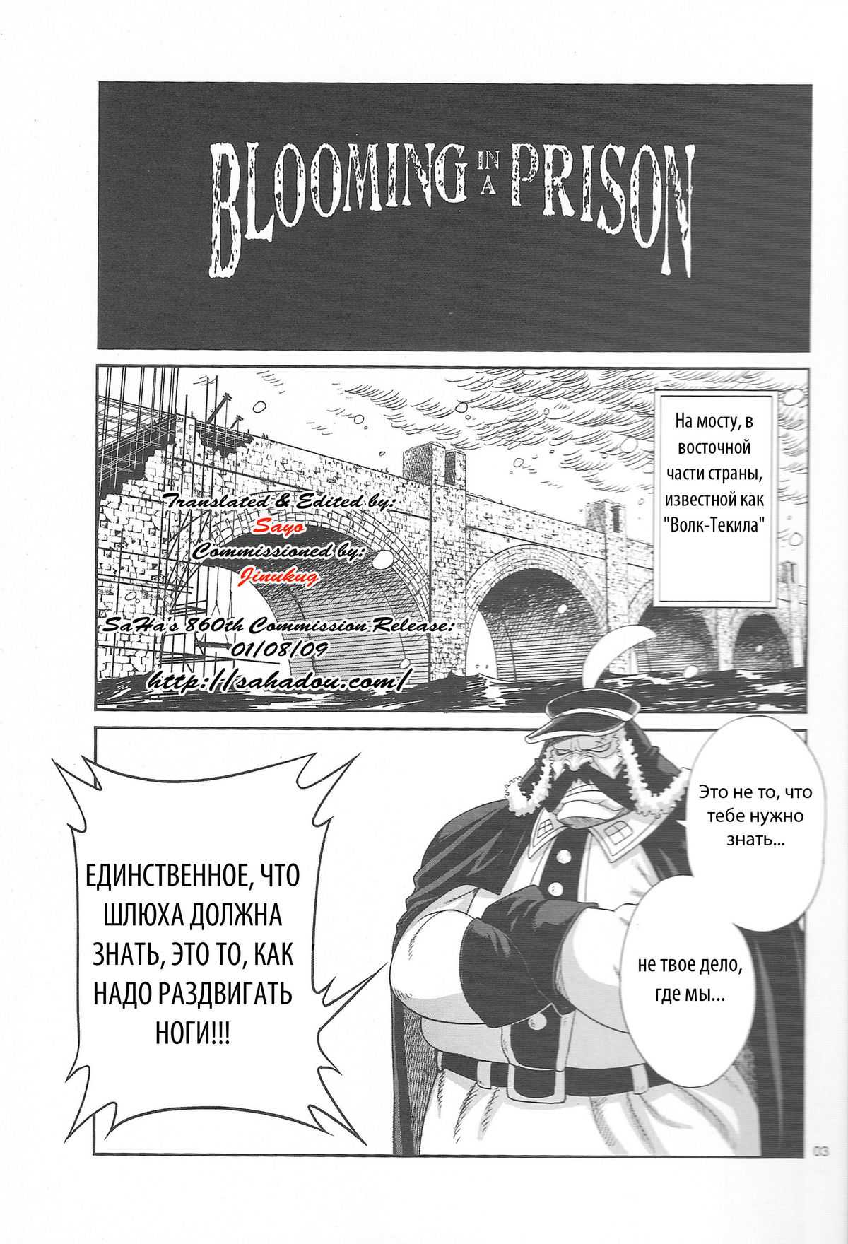 (ComiComi13) [Rojiura Jack (Jun)] Blooming In A Prison (One Piece) [RUS] (コミコミ13) [路地裏JACK (Jun)] BLOOMING IN A PRISON (ワンピース)