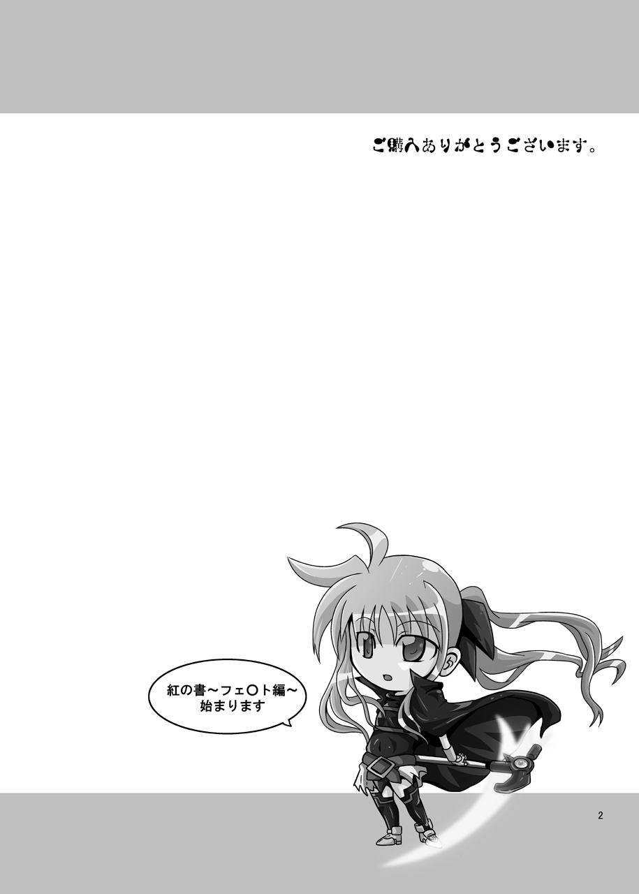 [Kurodama-ya] Kurenai no Sho ~Fate Hen~ (Mahou Shoujo Lyrical Nanoha / Magical Girl Lyrical Nanoha) [黒玉屋] 紅の書 ～フェ○ト編～ (魔法少女リリカルなのは)