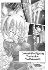 Grounds For Fighting [Spanish]-