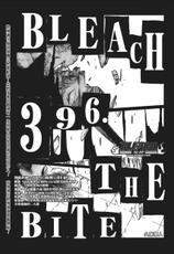 Bleach 396 [CN]-
