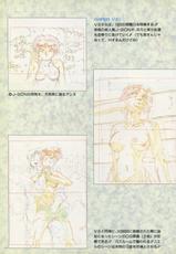 VIPER Series Official Artbook-VIPER Series イラスト原画集