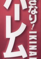 [Tachibana Omina] Ikinari! Harem Life-[立花オミナ] いきなり!ハーレムライフ + メッセージペーパー, 複製原画
