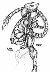 Alien and predator-