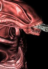 Alien and predator-