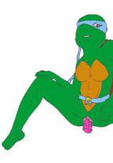eclipse's cache - Teenage Mutant Ninja Turtles-