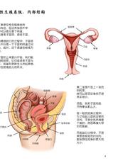 [Donutwish] Anatomy & Physiology of Unbirthing [Chinese] [方相汉化]-