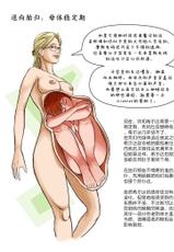 [Donutwish] Anatomy & Physiology of Unbirthing [Chinese] [方相汉化]-