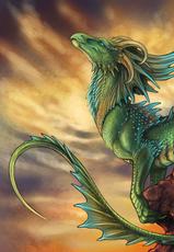 Furry Dragons 2-