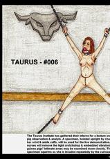 [taurusartworks] TAURUS INSTITUTE-