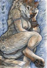 Furry Gallery 7-